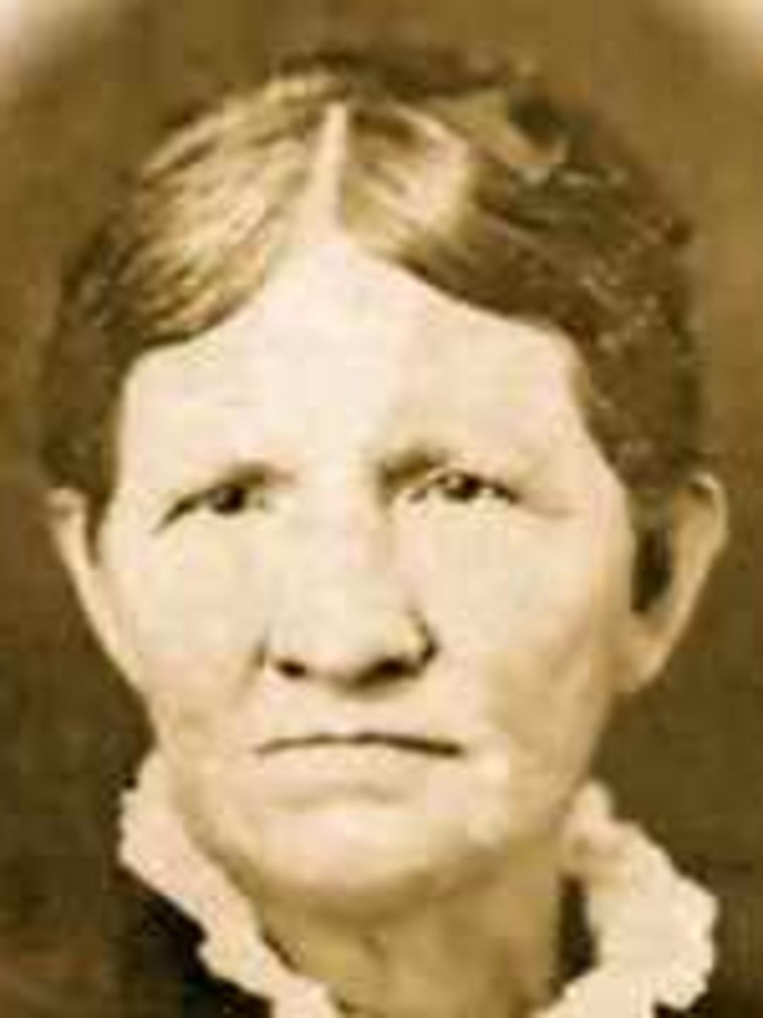 Louisa Walker (1822 - 1888) Profile